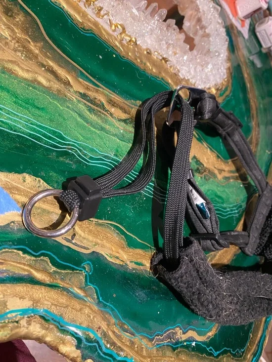 Adjustable Black Sporn Harness for dogs - Picture 4 of 6